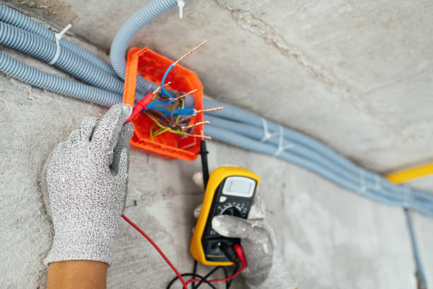 Best Electric Panel Repair  in The Woodlands, TX